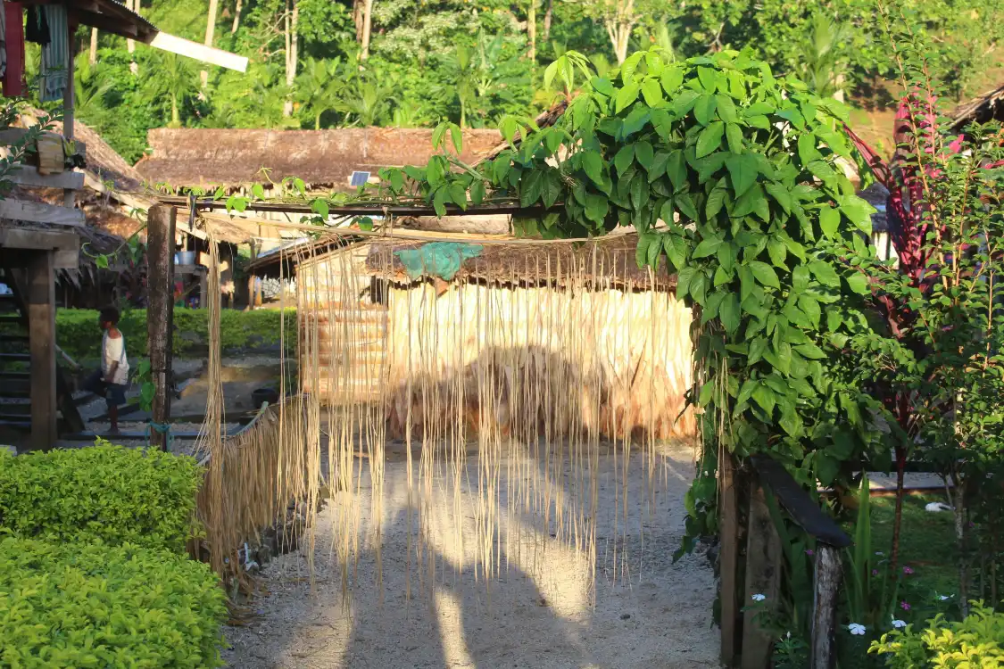 Hotels near Anuta
