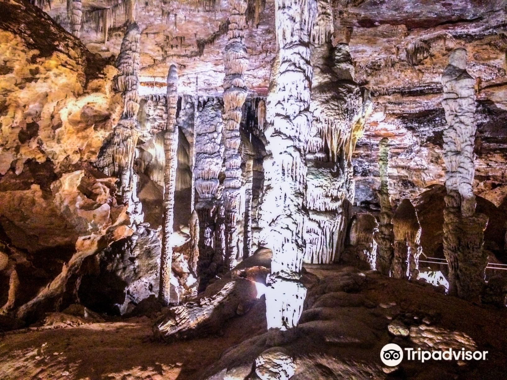 Visita da Spelayon Consultoria para curso de Espeleologia voltada ao  Licenciamento Ambiental - Photo de Monumento Natural Estadual Gruta Rei do  Mato, Sete Lagoas - Tripadvisor