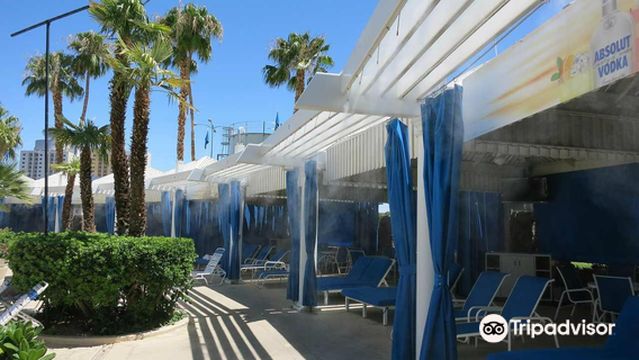 Blu Pool At Horseshoe Las Vegas