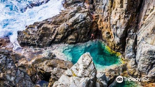 Piscines Naturelles