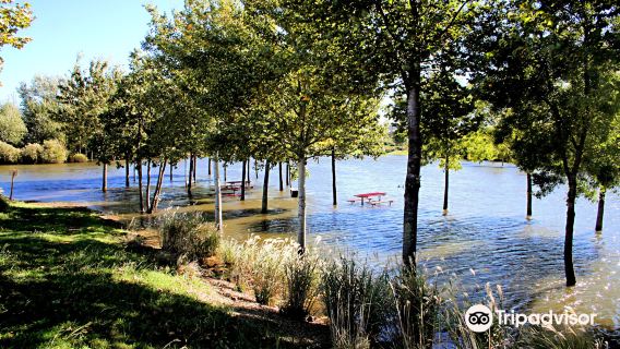 Parc St Vicens