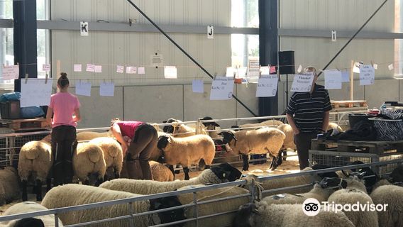 Messe Husum & Congress