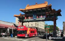 City Sightseeing Seattle