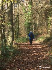 Halsdon Nature Reserve