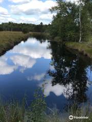 Reserve Naturelle des Tourbieres