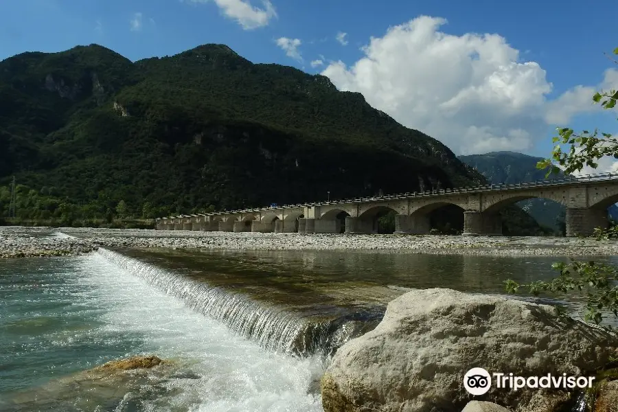 Ponte di Braulins