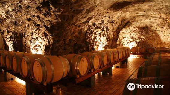 Cantine Marisa Cuomo