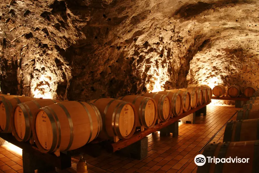 Cantine Marisa Cuomo