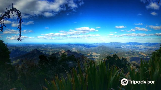 Wollumbin / Mount Warning