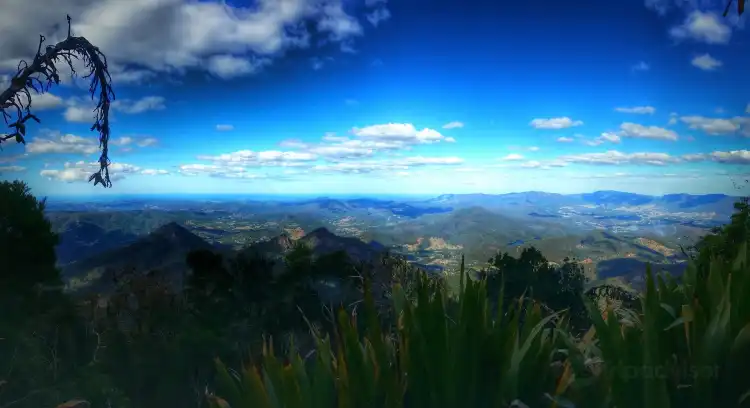 Hotels in Mount Warning