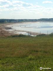 Murray Beach Provincial Park Campground