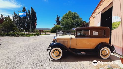 Bodega y Vinedo Familia Giaquinta