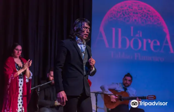 阿爾沃雷俱樂部格拉納達佛蘭明高表演 Tablao La Alboreá成人