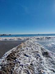 Seacliff State Beach