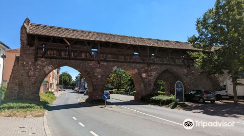 Nibelungenmuseum