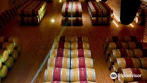 Antinori nel Chianti Classico