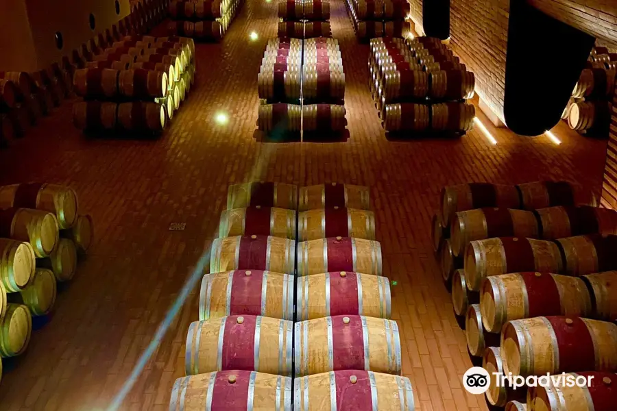 Cantina Antinori