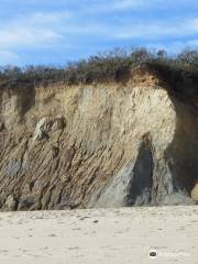 Newcomb Hollow Beach