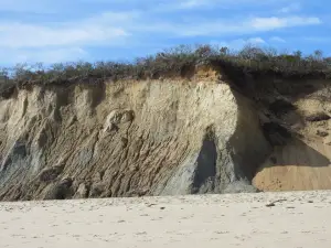 Newcomb Hollow Beach