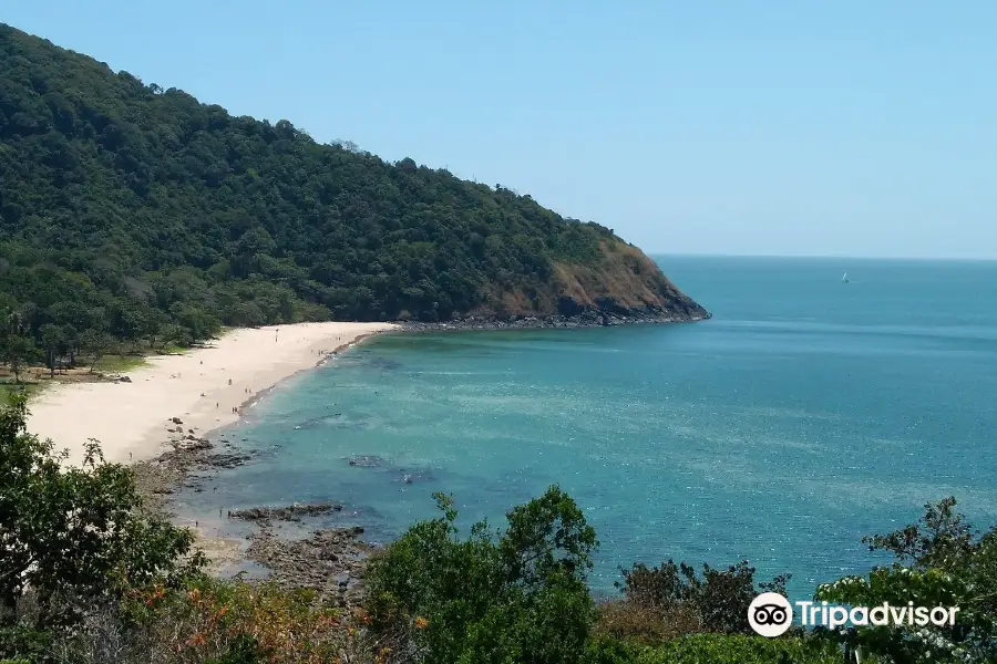 Bamboo Beach