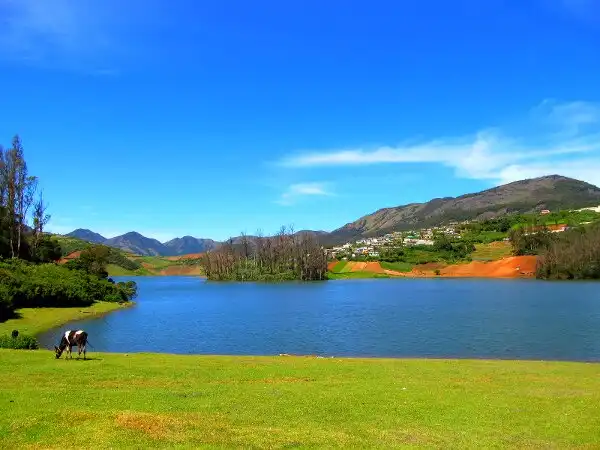 The Nilgiris
