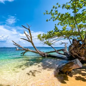 The Four Islands