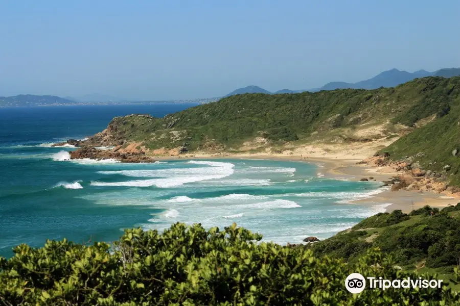 Guarda Do Embaú Beach