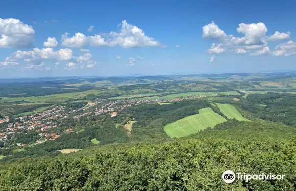 西爾瓦什瓦勞德