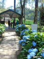 Borboletario Flores que Voam