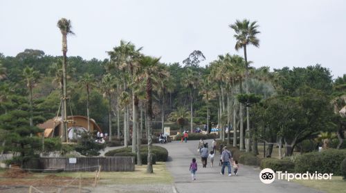 미야자키 시 피닉스 동물원