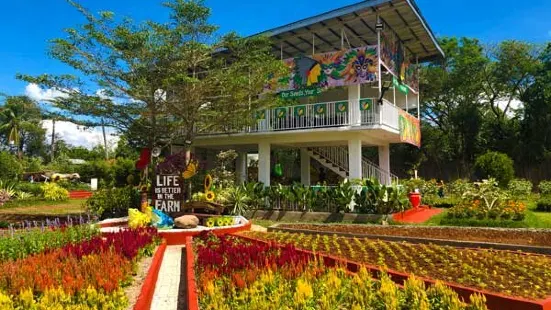 Girasoles Farm Candelaria