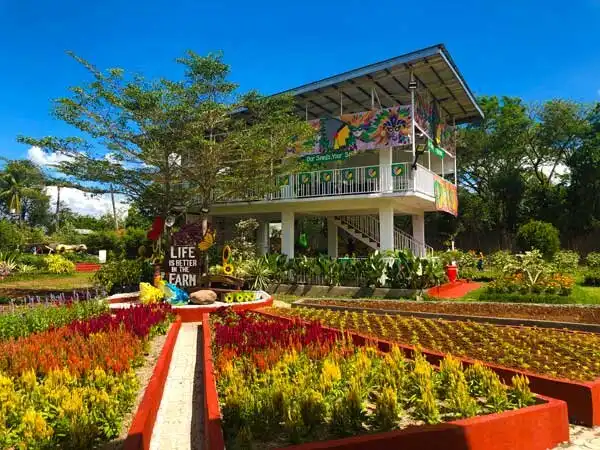 Hotels in Candelaria