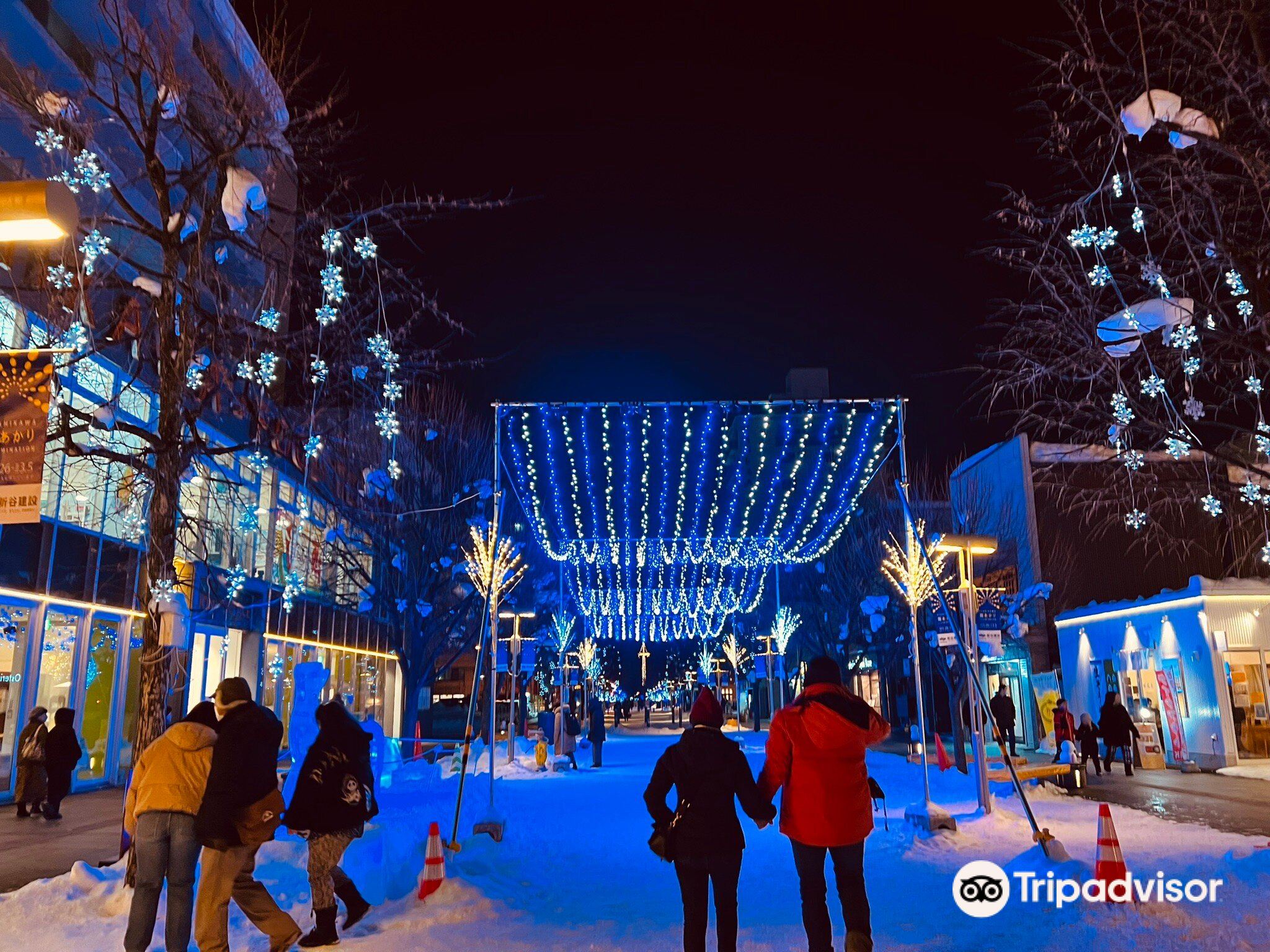 Asahikawa Winter Festival | Asahikawa