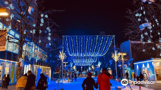 Asahikawa Winter Festival