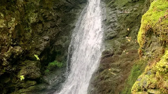 Dickson Falls