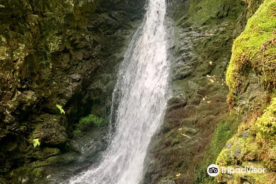 Dickson Falls