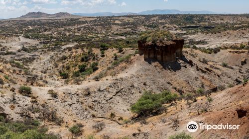 Olduvai Gorge Museum