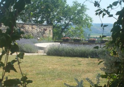 Franciscan Monastery Garden Breisach