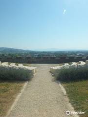 Franciscan Monastery Garden Breisach