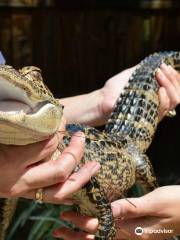 Wild Bill's Airboat Tours