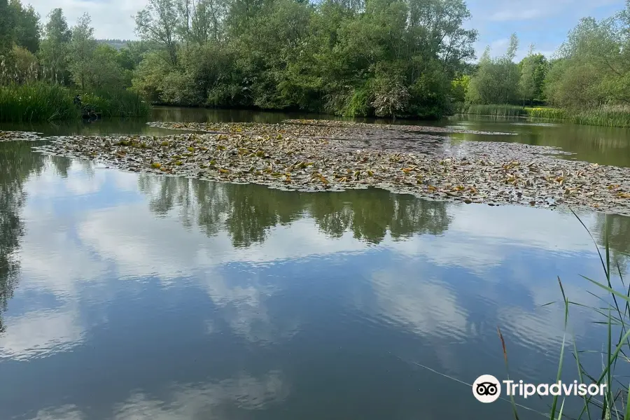 Bury Hill Fisheries