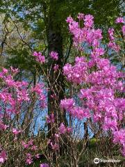 神奈川県立 山北つぶらの公園