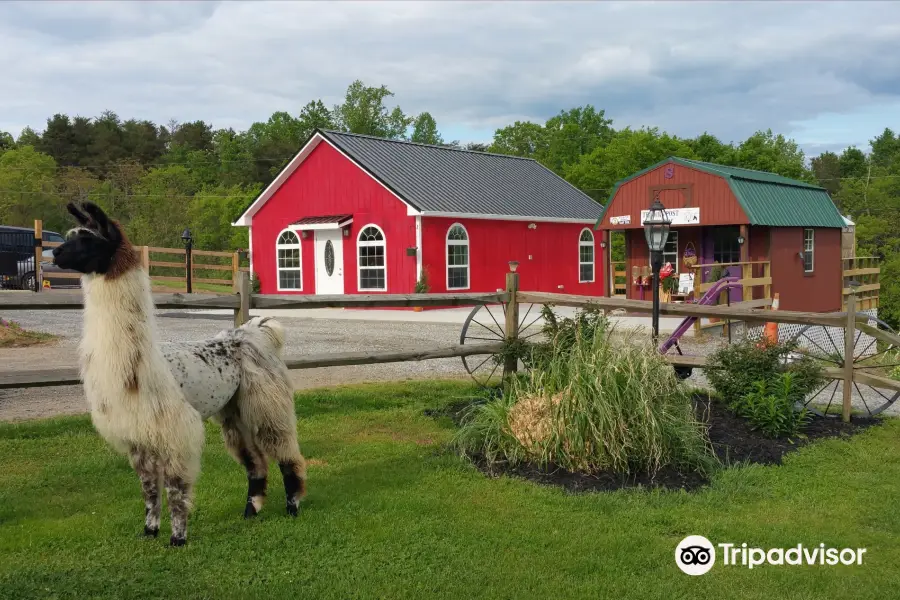 Infinity Acres Petting Ranch /Animal Interactive Educational Non-Profit