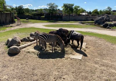 Wildlands Adventure Zoo Emmen