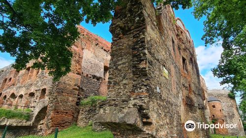 Ruins of Ducal Castle in Zabkowice Slaskie