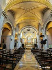 Cattedrale dei Santi Pietro e Paolo (Duomo di Pitigliano)