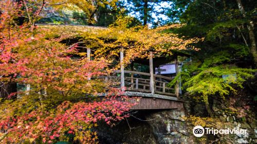 Yanetsuki Covered Bridge - Roman Yatsuhashi