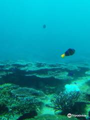 Kushimoto Marine Park Undersea Tower