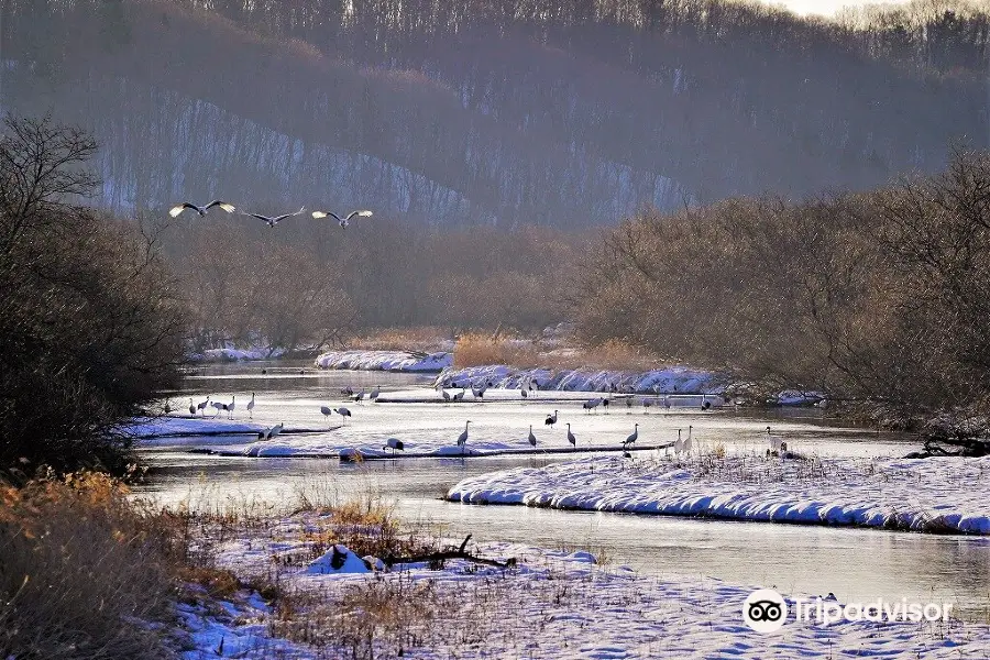 音羽橋