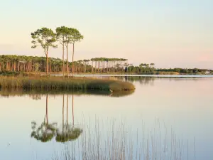 Grayton Beach State Park